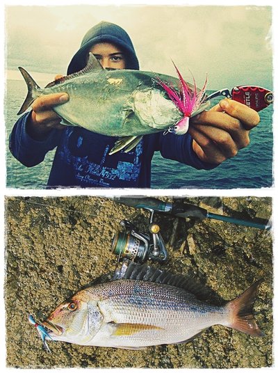 Banana 21 & 14 gr. Banana 21 & 14 gr.