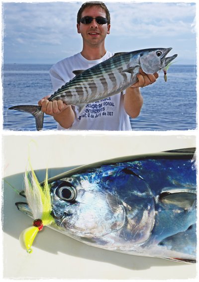 Minnow 28 & Banana 42 gr. Minnow 28 & Banana 42 gr.