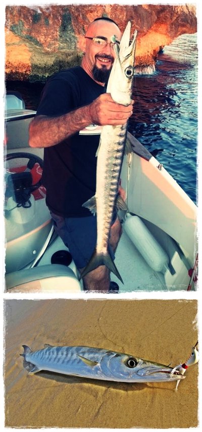 Banana 14 & 21 gr. Banana 14 & 21 gr.