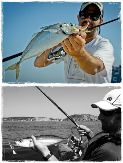 Banana 21 gr. Banana 21 gr.