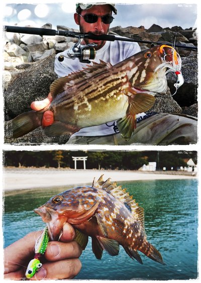 Banana 42 gr. y Bullet 7 gr. Banana 42 gr. y Bullet 7 gr.