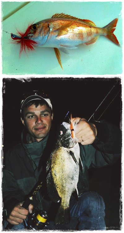 Banana 28 gr. y Calamara Diablo 28 gr. Banana 28 gr. y Calamara Diablo 28 gr.