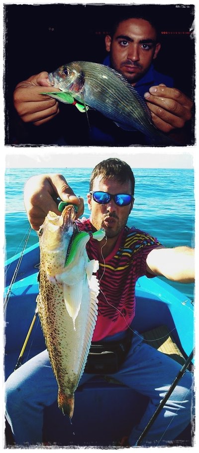 Banana 14 gr. y Banana 21 gr. Banana 14 gr. y Banana 21 gr.