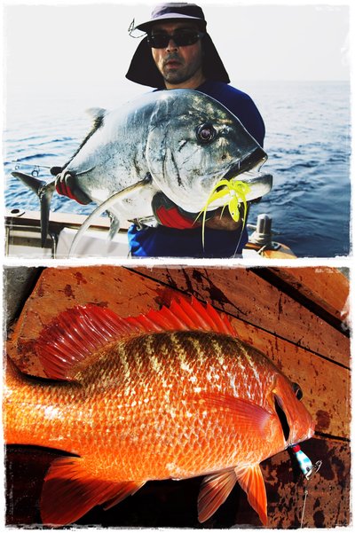 Minnow 56 y Banana 28 gr. Minnow 56 y Banana 28 gr.