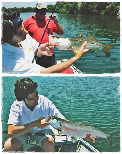 Banana 14 gr. Banana 14 gr.